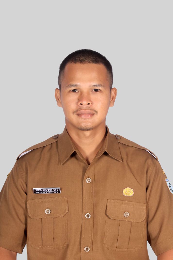 HAFIZH ANSHARIE